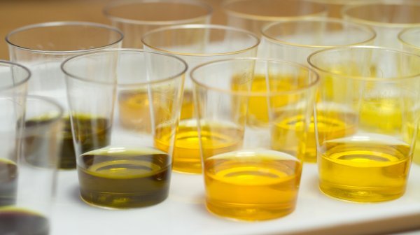 verschiedene Tastinggläser