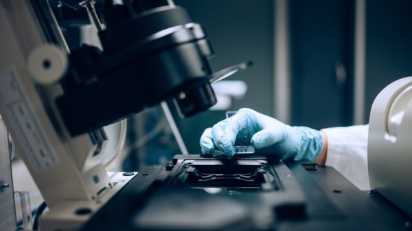 Nahaufnahme einer mikroskopischen Untersuchung