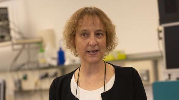 Eine Person steht in einem Laborraum vor einer Arbeitsfläche. Im Vordergrund befindet sich ein roter Probenständer mit mehreren kleinen, weißen Schraubgefäßen.