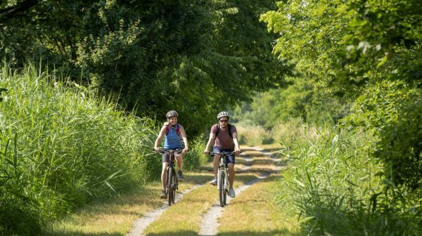 Zwei Radfahrende fahren auf einem schmalen, unbefestigten Weg durch eine grüne, dicht bewachsene Landschaft mit Bäumen und hohem Gras; beide tragen Helme und Rucksäcke, während Sonnenlicht durch das Blätterdach fällt.