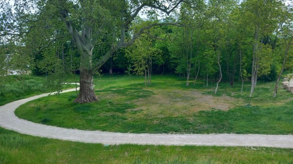 Neu geschaffene Grünfläche mit Fahrradweg