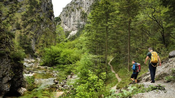 Zwei Personen mit Rucksäcken wandern auf einem schmalen Pfad durch eine bewaldete Schlucht. 
