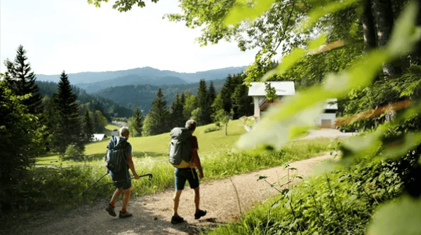 Zwei Personen mit Wanderrucksäcken gehen auf einem Schotterweg durch eine grüne Hügellandschaft. Umgeben von Wiesen, Bäumen und Wäldern führt der Weg an einem einzelnen Haus vorbei.