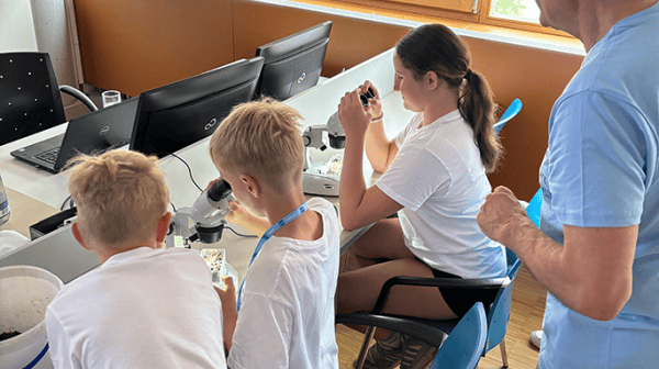 3 Kinder beim Forschen am Mikroskol