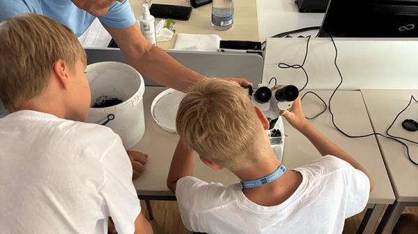zwei Kinder beim Forschen am Mikroskop