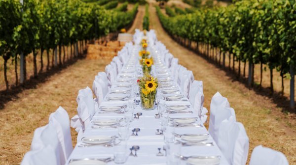 Lange, festlich gedeckte Tafel mit weißen Tischdecken und Stuhlhussen inmitten eines Weinbergs.