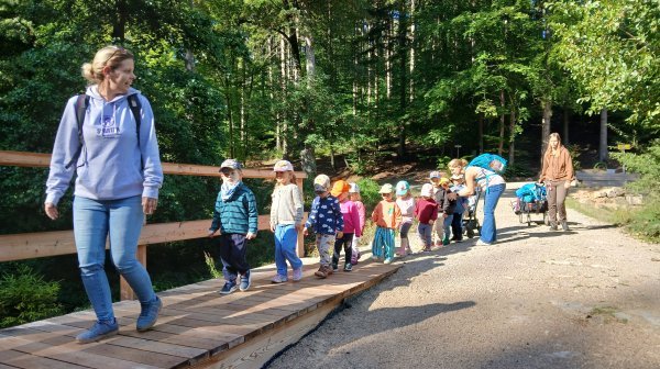 Eine Gruppe von Kindern und Begleitpersonen geht auf einem Weg durch ein Waldgebiet. Die Kinder bewegen sich gemeinsam in einer Reihe entlang eines Holzstegs und eines Schotterwegs. Im Hintergrund sind Bäume und weitere Personen zu sehen.