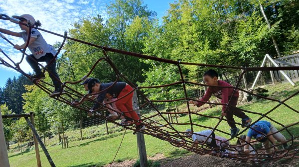 Mehrere Kinder klettern und balancieren auf einem Seilnetz-Spielgerät im Freien. Das Spielgerät steht auf einem Spielplatz, umgeben von Wiesen und Bäumen.