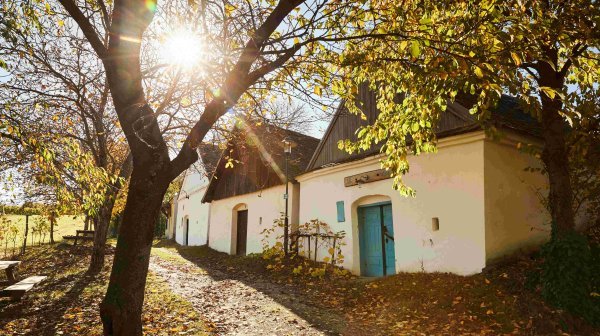 Historische Kellergasse mit weiß getünchten Häusern und ziegelgedeckten Dächern. Im Vordergrund ist ein modern saniertes Gebäude mit Holzfassade und Glasbalkon zu sehen. Zwei Personen gehen die leicht ansteigende Straße entlang.