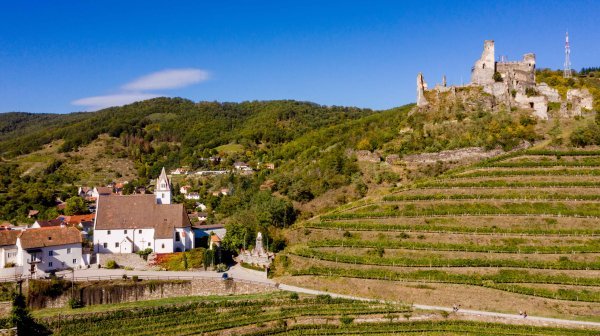 Weinberg