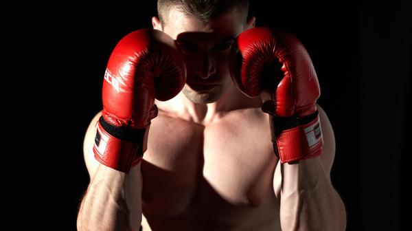 Nahaufnahme eines Boxers