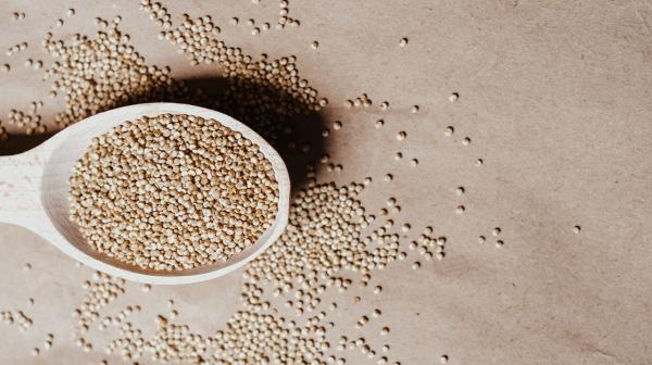 Quinoa