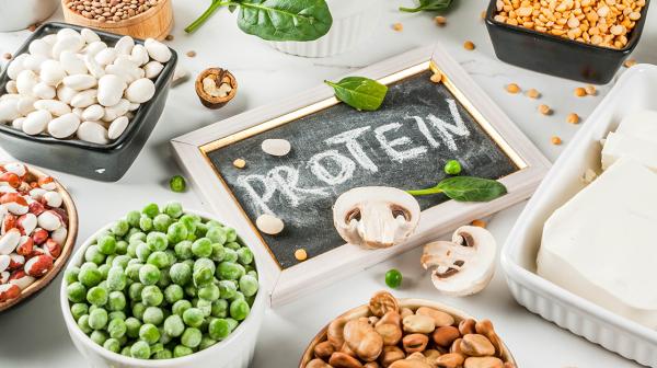 Alternative Proteinquellen