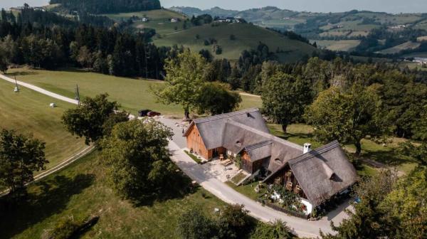 Luftaufnahme von einem Hof und Landschaft