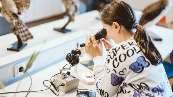 LNF Wieselburg C Michael Schafranek (12) EFRE Logoblock