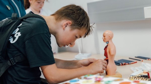 LNF Michael Meindl 2024 05 24 0039 Bursch bei einem kleinen anatomischen Modell des Menschen mit den inneren Organen