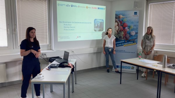 Drei Personen halten Präsentation