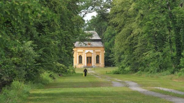 gelbes Gebäude Mitten in einem Wald