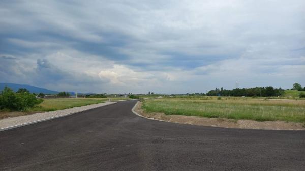 Ausschnitt einer Straße und im Hintergrund eine Wiese 