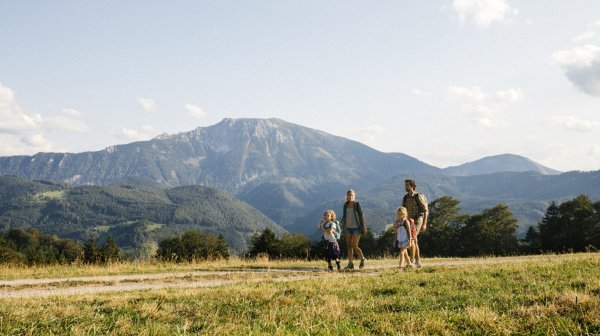 zwei Erwachsene und zwei Kinder gehen wandern