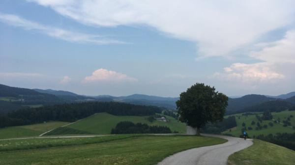 hügelige Landschaft mit einem asphaltierten Radweg