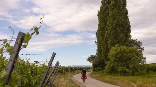 Radfahren im Mostviertel